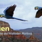 Die deutsche Sprache in Brasilien - von Migration zur dekolonialen Perspektive im Deutschunterricht