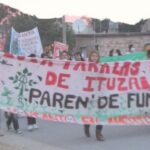 Sojaboom mit Folgen – Wie die Ölfrucht Argentiniens Landwirtschaft verändert