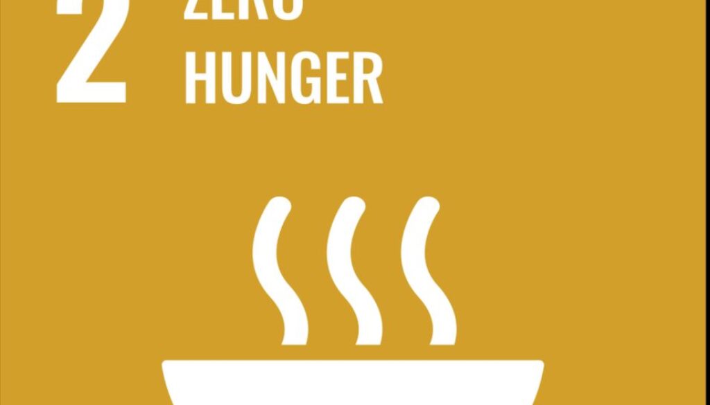 sdg2