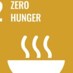 Hunger mit Menschenrechten bekämpfen!
