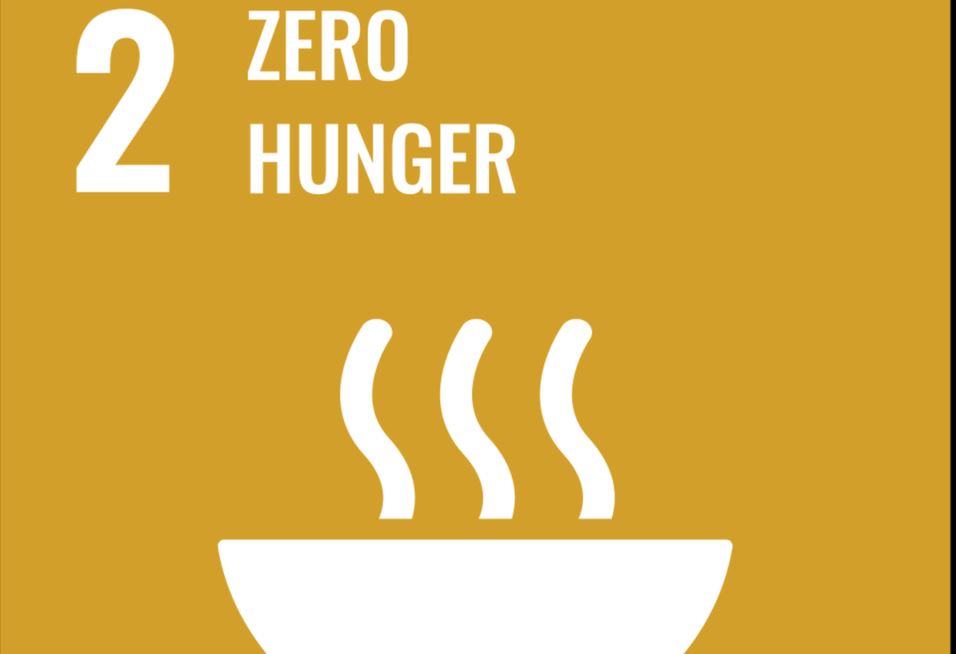 Hunger mit Menschenrechten bekämpfen!