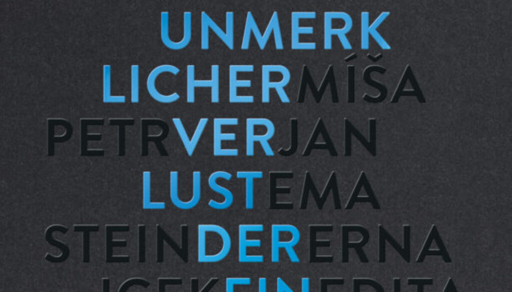 Cover_Benes_UnmerklicherVerlustderEinsamkeit_2D
